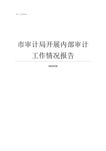 市审计局开展内部审计工作情况报告