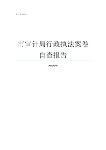 市审计局行政执法案卷自查报告行政执法案卷