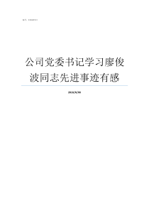 公司党委书记学习廖俊波同志先进事迹有感