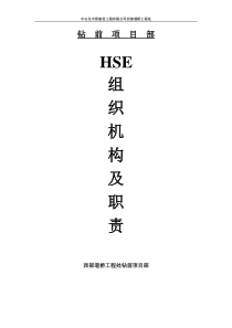 HSE组织机构和职责1