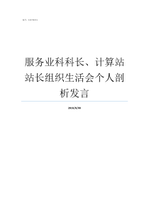 服务业科科长计算站站长组织生活会个人剖析发言学生科科长