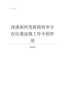 浅谈如何发挥政府审计在纪委巡视工作中的作用审计