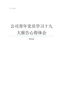 公司青年党员学习十九大报告心得体会