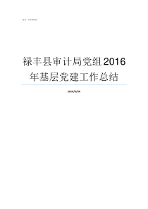 禄丰县审计局党组2016年基层党建工作总结楚雄州禄丰县审计局