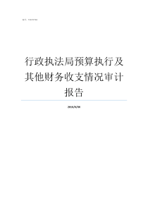 行政执法局预算执行及其他财务收支情况审计报告行政单位预算执行措施