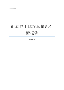 街道办土地流转情况分析报告