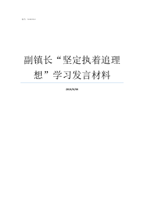 副镇长坚定执着追理想学习发言材料