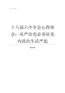 十八届六中全会心得体会从严治党必须从党内政治生活严起党的十八届六中全会精神心得