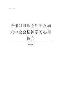 协作组组长党的十八届六中全会精神学习心得体会党小组组长如何产生