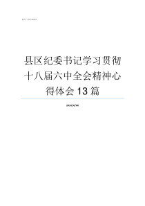 县区纪委书记学习贯彻十八届六中全会精神心得体会13篇