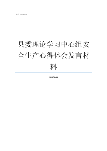 县委理论学习中心组安全生产心得体会发言材料