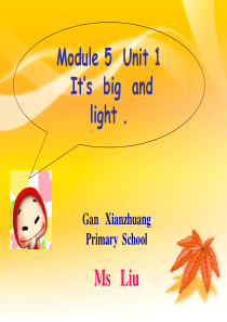 2012外研版五年级英语下册M5U1its_big_and_light.