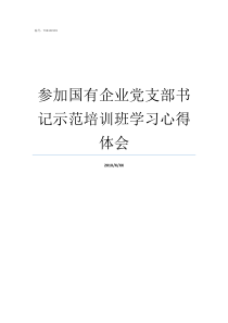 参加国有企业党支部书记示范培训班学习心得体会国有企业和集体企业中的党支部