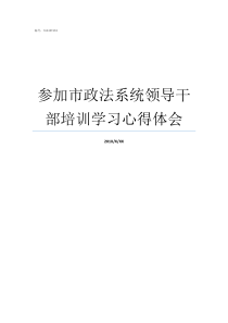 参加市政法系统领导干部培训学习心得体会党委领导政法工作