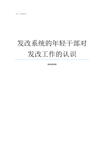 发改系统的年轻干部对发改工作的认识