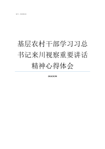 基层农村干部学习习总书记来川视察重要讲话精神心得体会