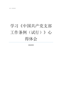 学习中国共产党支部工作条例试行心得体会