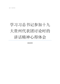 学习习总书记参加十九大贵州代表团讨论时的讲话精神心得体会