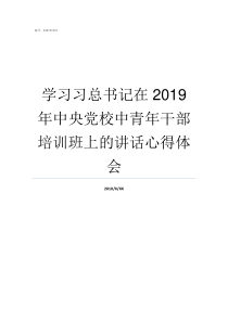 学习习总书记在2019年中央党校中青年干部培训班上的讲话心得体会