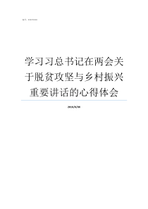 学习习总书记在两会关于脱贫攻坚与乡村振兴重要讲话的心得体会