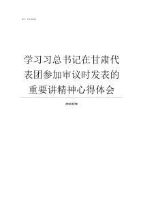 学习习总书记在甘肃代表团参加审议时发表的重要讲精神心得体会