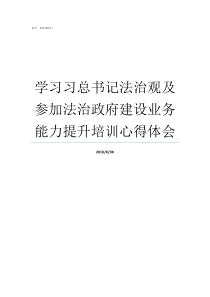 学习习总书记法治观及参加法治政府建设业务能力提升培训心得体会