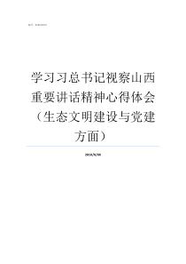 学习习总书记视察山西重要讲话精神心得体会生态文明建设与党建方面