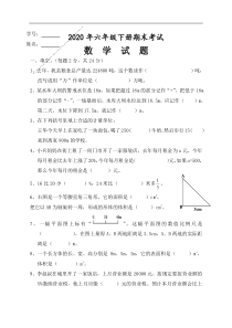 最新人教版2020年六年级数学下册期末试题