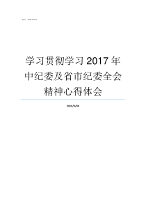 学习贯彻学习2017年中纪委及省市纪委全会精神心得体会