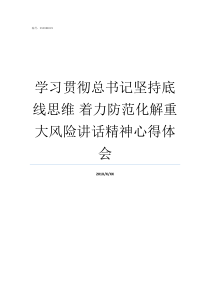 学习贯彻总书记坚持底线思维nbsp着力防范化解重大风险讲话精神心得体会