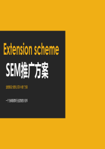 胡熙sem推广方案最新