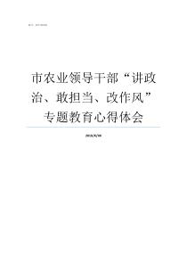 市农业领导干部讲政治敢担当改作风专题教育心得体会