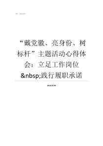 戴党徽亮身份树标杆主题活动心得体会立足工作岗位nbsp践行履职承诺佩戴党徽亮身份