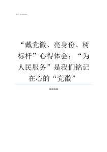 戴党徽亮身份树标杆心得体会为人民服务是我们铭记在心的党徽