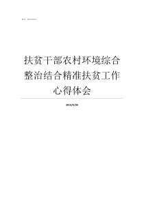 扶贫干部农村环境综合整治结合精准扶贫工作心得体会