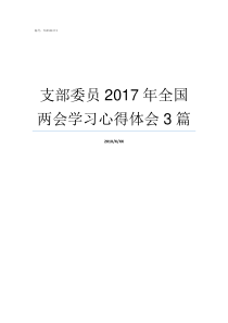 支部委员2017年全国两会学习心得体会3篇2017支部委员会记录