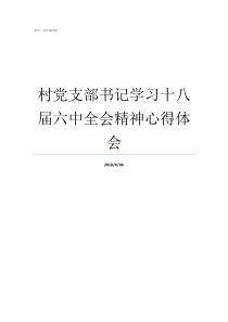 村党支部书记学习十八届六中全会精神心得体会