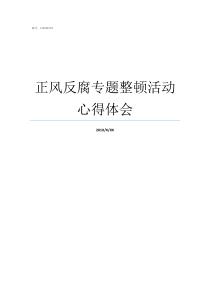 正风反腐专题整顿活动心得体会安全整顿总结专题