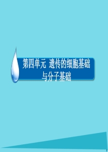 2017高考生物一轮复习 专题9 遗传的细胞基础 考点2 有丝分裂与减数分裂的综合课件