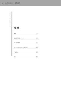 SSL-VPN 技术白皮书