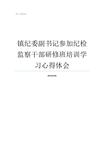 镇纪委副书记参加纪检监察干部研修班培训学习心得体会河北纪检委副书记