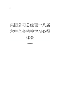 集团公司总经理十八届六中全会精神学习心得体会