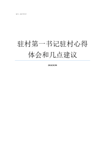 驻村第一书记驻村心得体会和几点建议