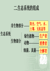 食物链《生物与环境组成生态系统》课件1(41张PPT)(冀教版八年级下)