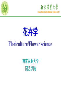 花卉学课件,南农花卉学