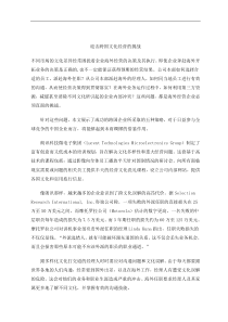 迎击跨国文化经营的挑战(doc6)(1)