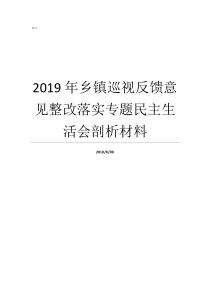 2019年乡镇巡视反馈意见整改落实专题民主生活会剖析材料2019撤乡并镇