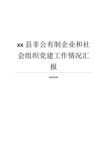 xx县非公有制企业和社会组织党建工作情况汇报党建情况汇报党建整改情况汇报