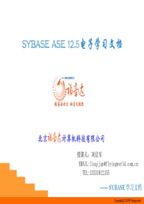 SYBASE电子学习文档