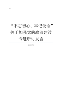 不忘初心牢记使命关于加强党的政治建设专题研讨发言